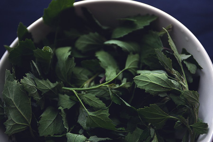 Lambs Quarters