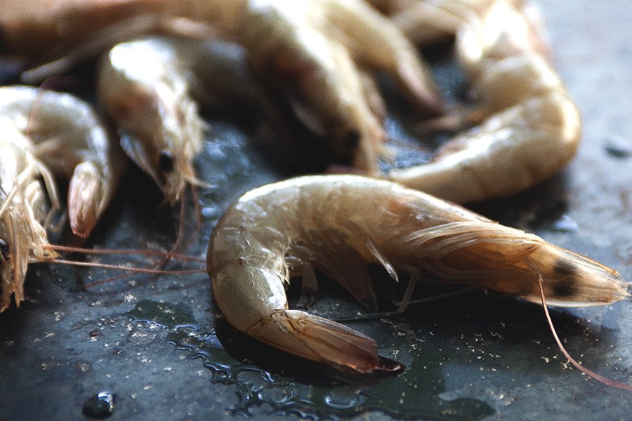 Raw Shrimp