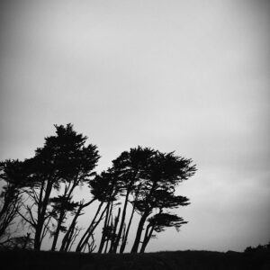 Fort Bragg