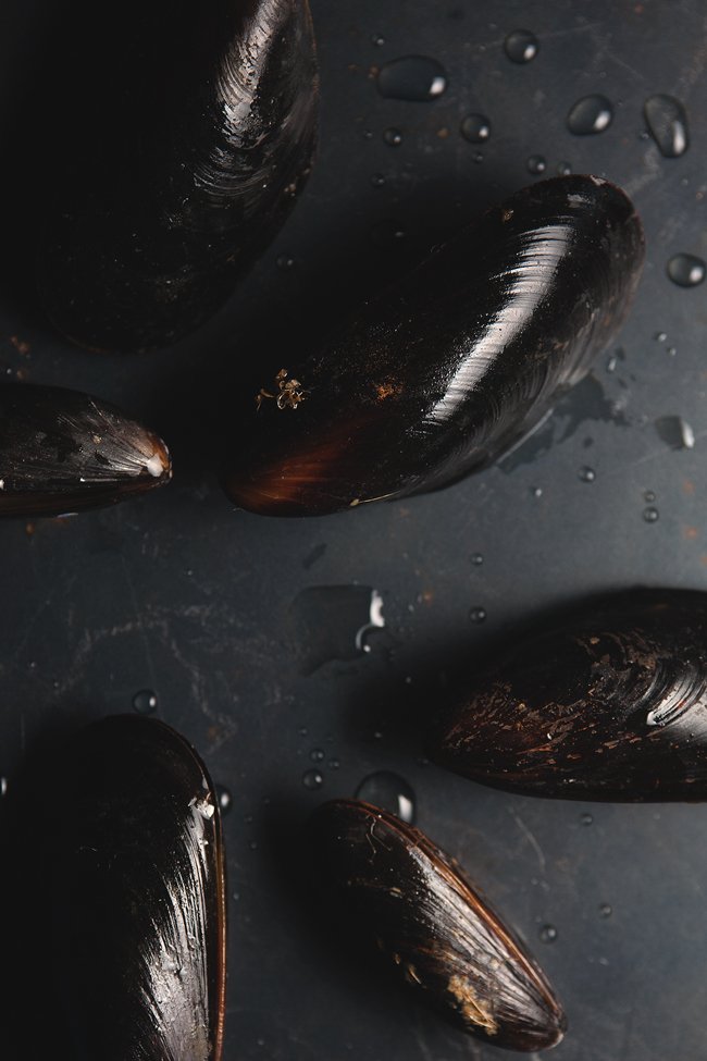 Mussels