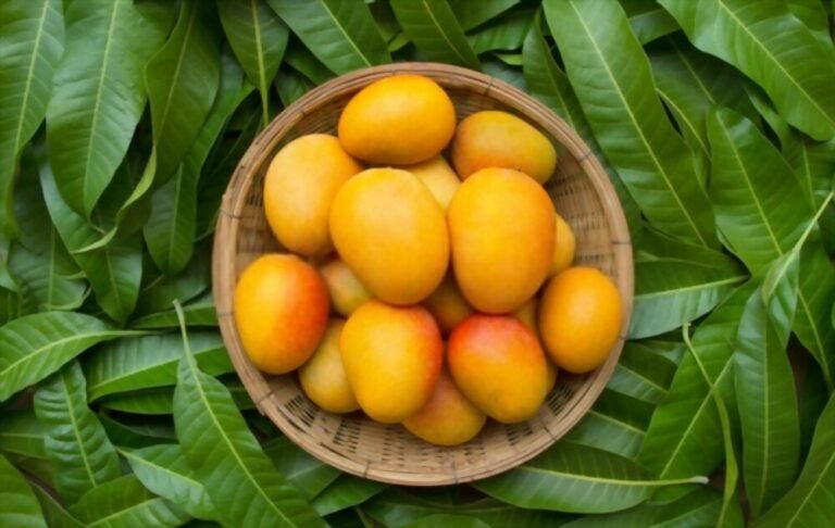 Are mangos acidic?