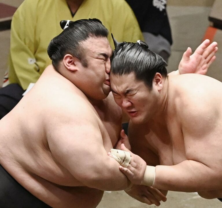 sumo wrestling