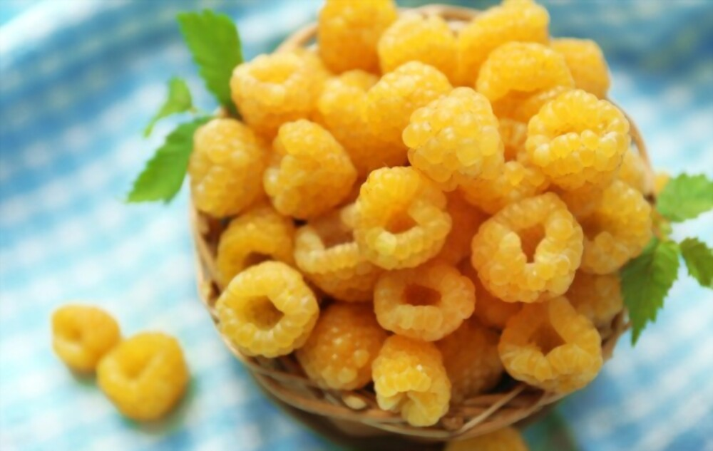 yellow raspberries