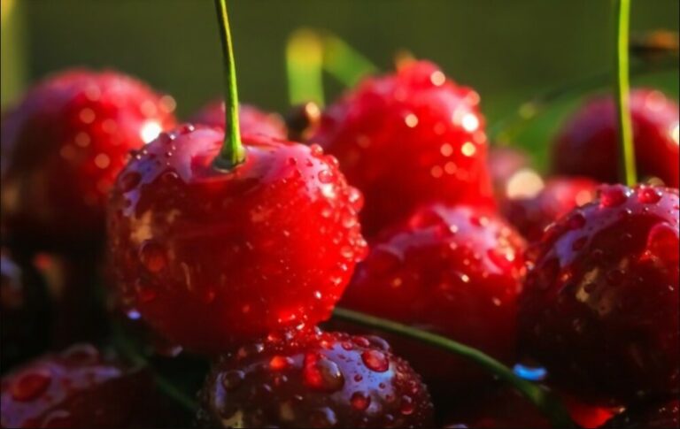 Cherries