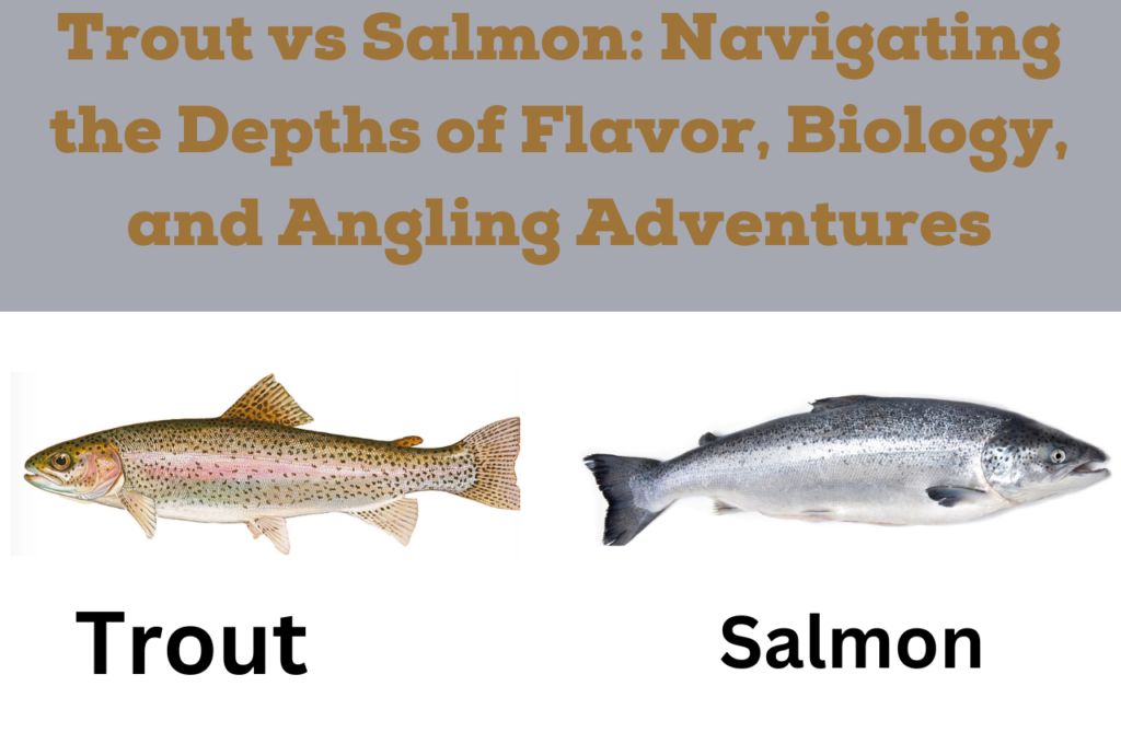 Trout vs Salmon