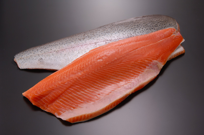Salmon