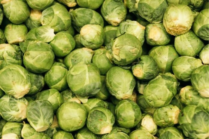 Are Brussels Sprouts Safe for Acid Reflux