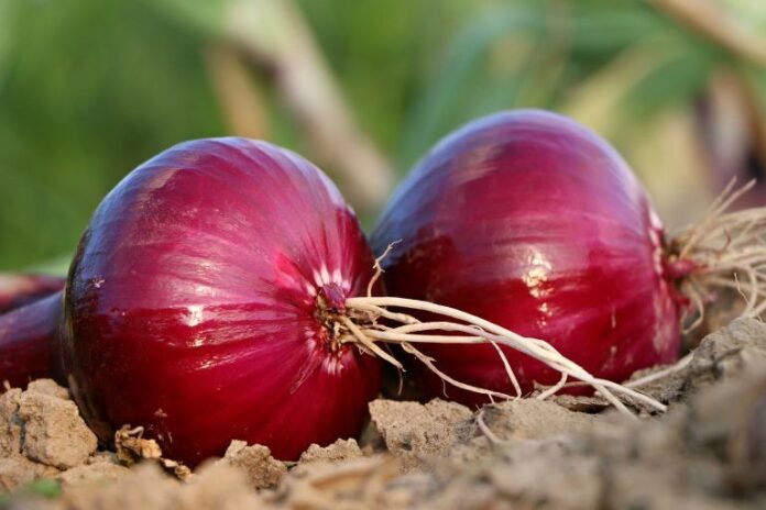 Is Red Onion Acidic