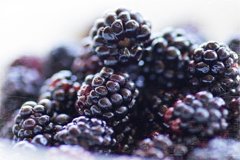 Are Blackberries Acidic