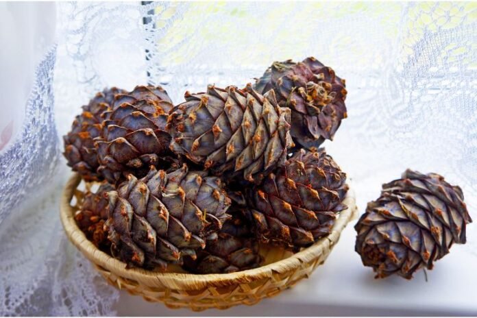 Is Pine Nut Acidic