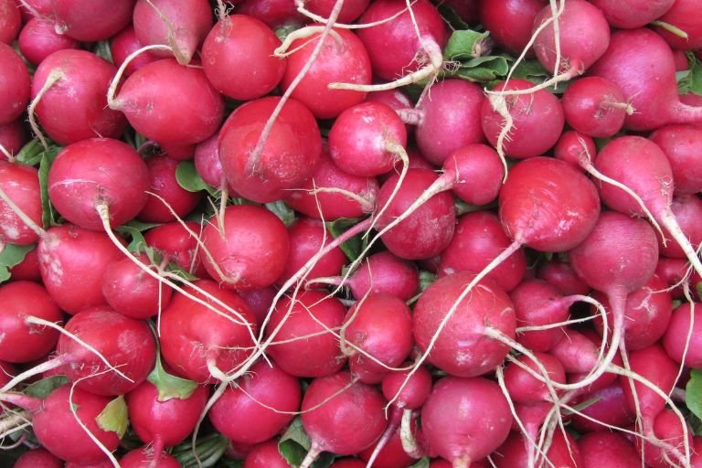 Are Radishes Acidic