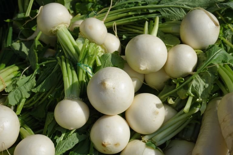Are Turnips Acidic