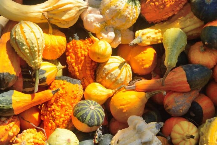 Is Yellow Squash Acidic