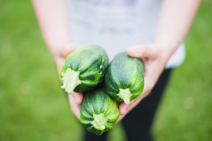 Are Zucchinis Acidic