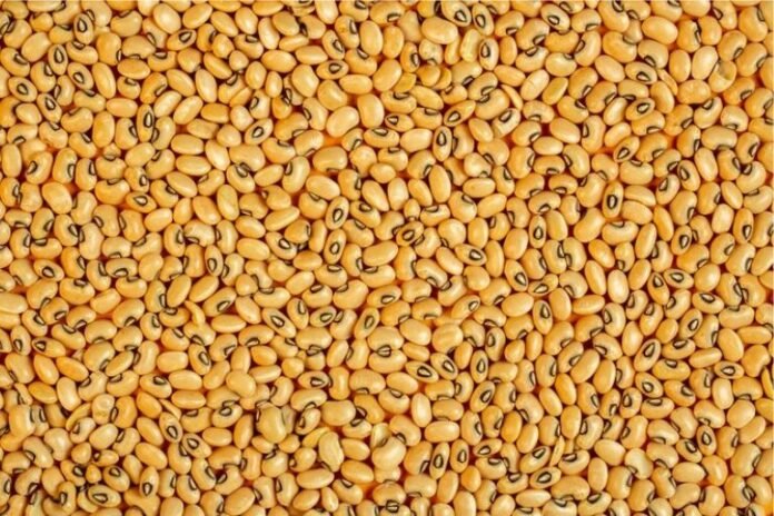 Are Yellow Beans Acidic
