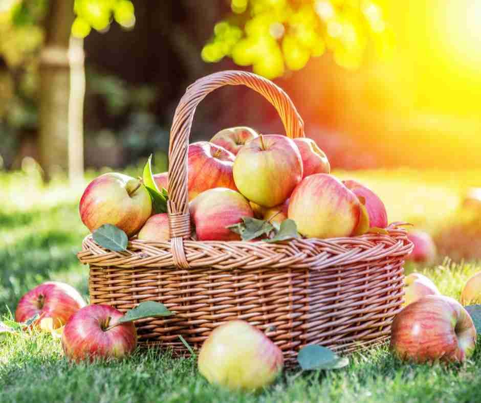 Are Apples Good for Diabetics