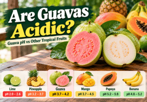 Are Guavas Acidic