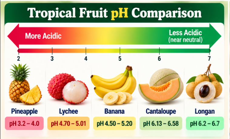 Longan pH compared with lychee, banana, and cantaloupe