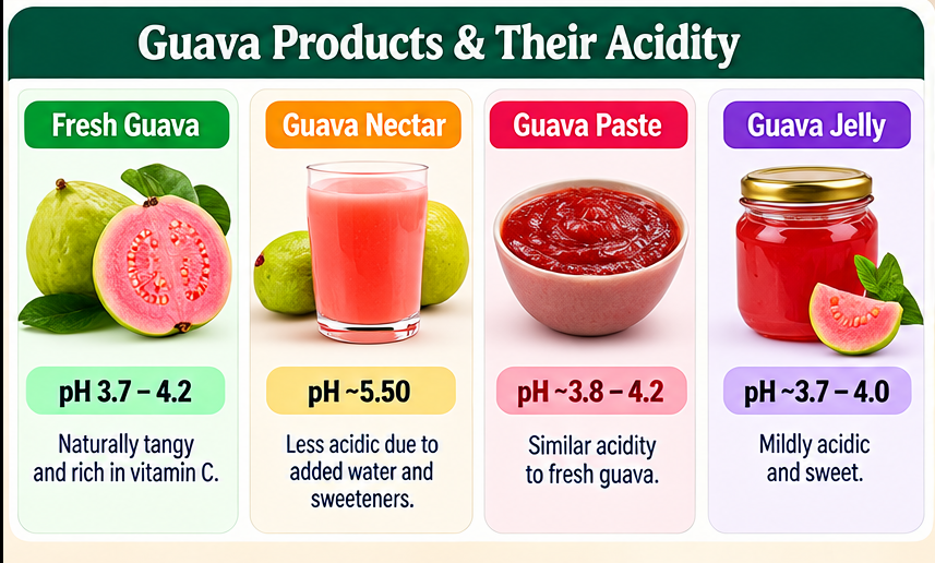 Fresh Guava vs Guava Products